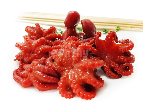 Satay-Wholesale-Frankel-Honey-Baby-Octopus-Singapore